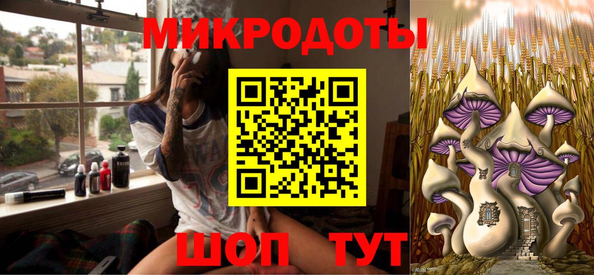 Галлюциногенные грибы Psilocybine cubensis Бузулук