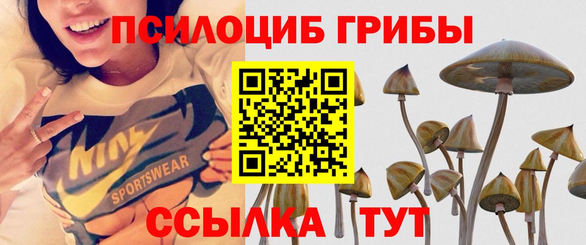 Бузулук  Псилоцибиновые грибы Psilocybe  Псилоцибиновые грибы Psilocybine cubensis  закладка  Вход с VPN 